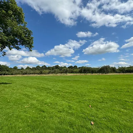 York Place - Spacious To Town With Views