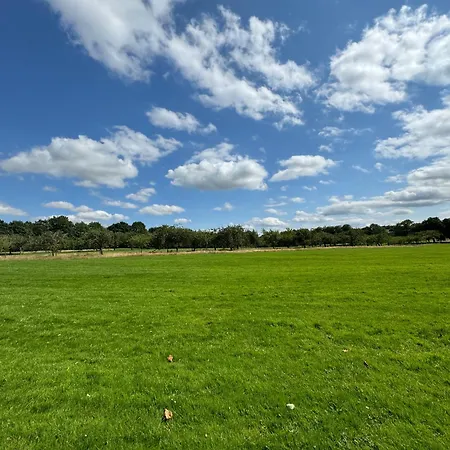 York Place - Spacious To Town With Views *